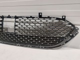 Lower Grille